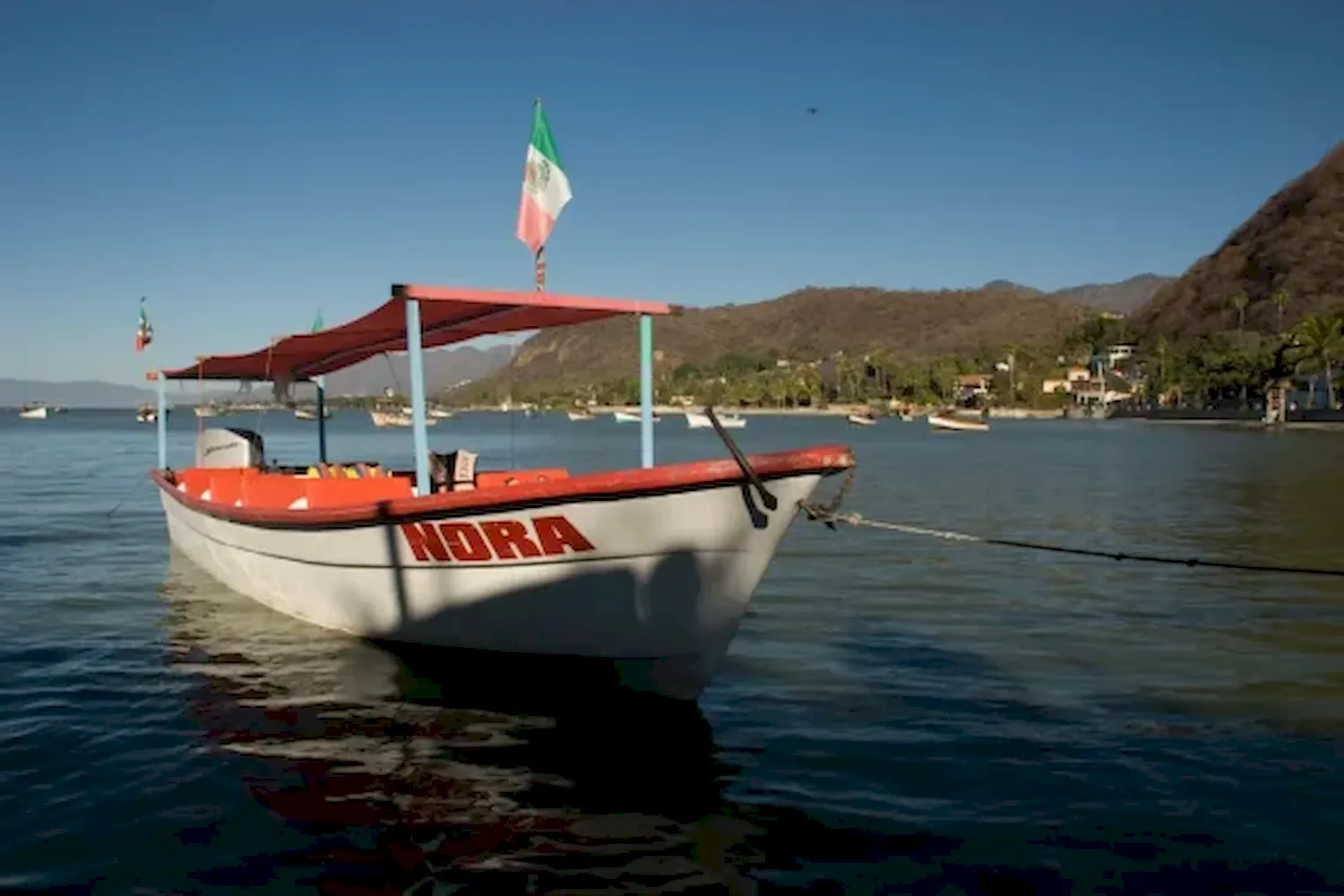 Chapala bote