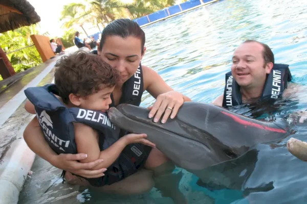 nado delfines 2