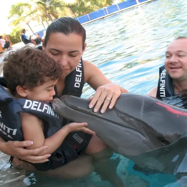 nado delfines 2