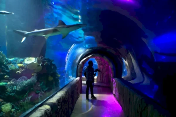 Acuario espectacular