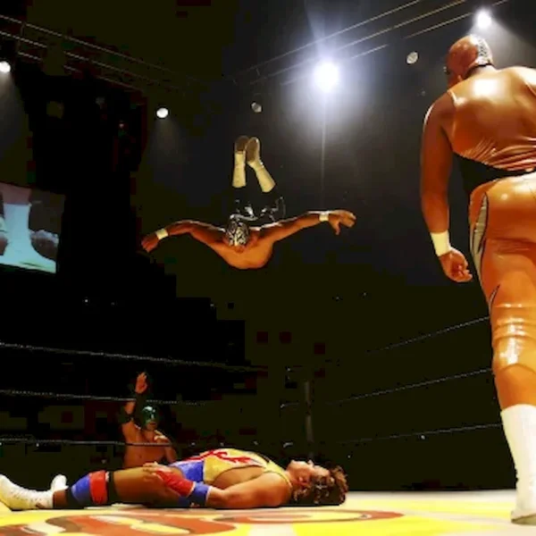 LUCHA LIBRE