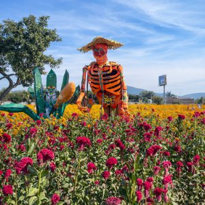 EXPERIENCIA EN CHOLULA, ATLIXCO Y VALLE DE CATRINAS (EXTRANJERO)