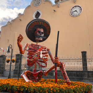 EXPERIENCIA EN CHOLULA, ATLIXCO Y VALLE DE CATRINAS (NACIONAL)
